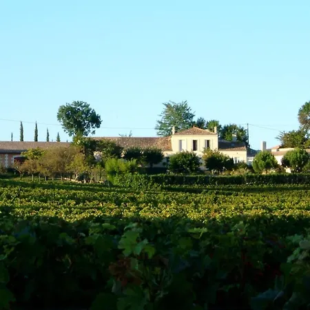 Holiday home Chateau La Tuiliere Pool And It's Own Wineyard *