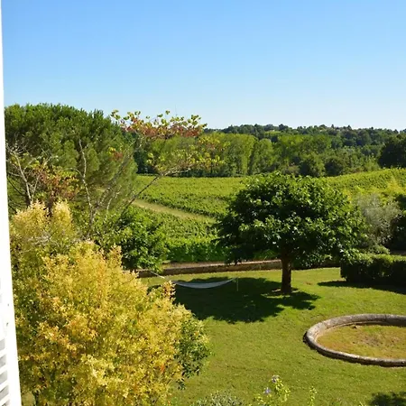 Chateau La Tuiliere Pool And It's Own Wineyard * Saint-Ciers-de-Canesse