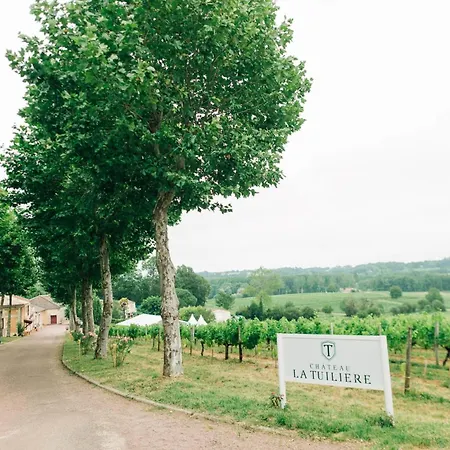 Chateau La Tuiliere 19th-century Vineyard Manor Saint-Ciers-de-Canesse